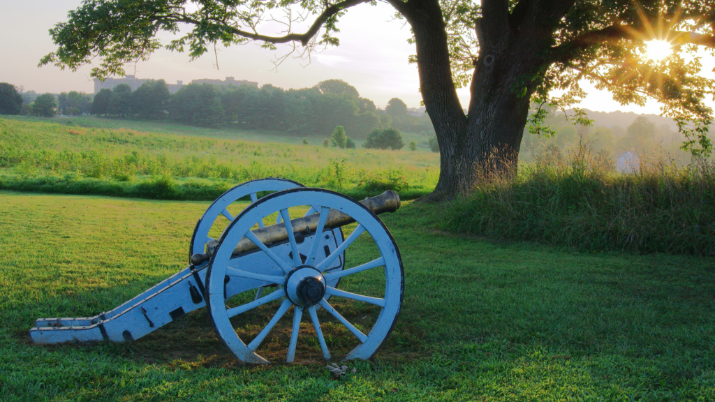A cannon sitting in a grass field next to a tree and a sun setting